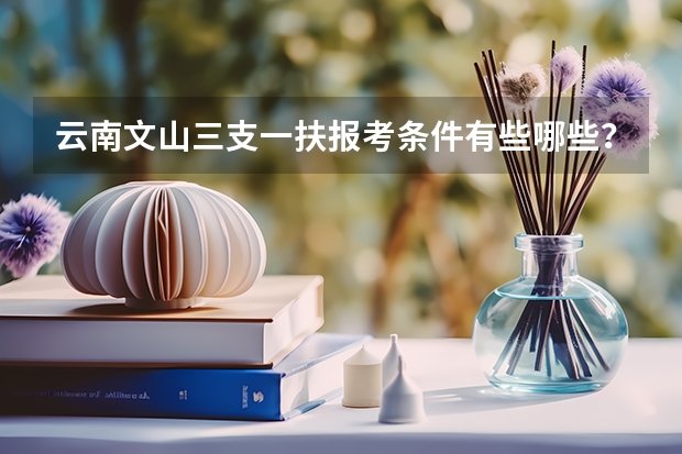 云南文山三支一扶报考条件有些哪些？
