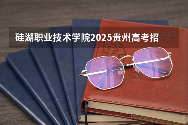 硅湖职业技术学院2025贵州高考招生计划 招多少人预测