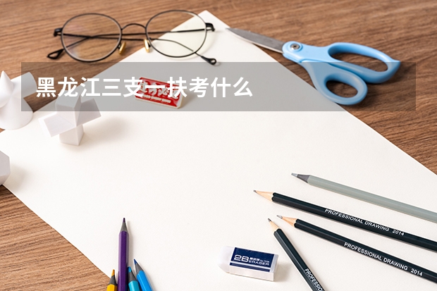 黑龙江三支一扶考什么