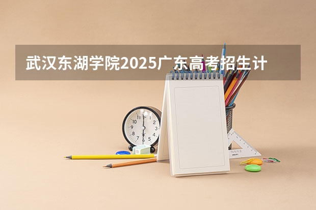 武汉东湖学院2025广东高考招生计划 招多少人预测