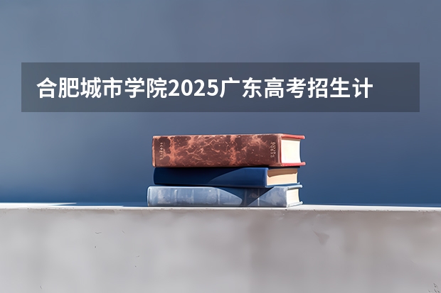 合肥城市学院2025广东高考招生计划 招多少人预测