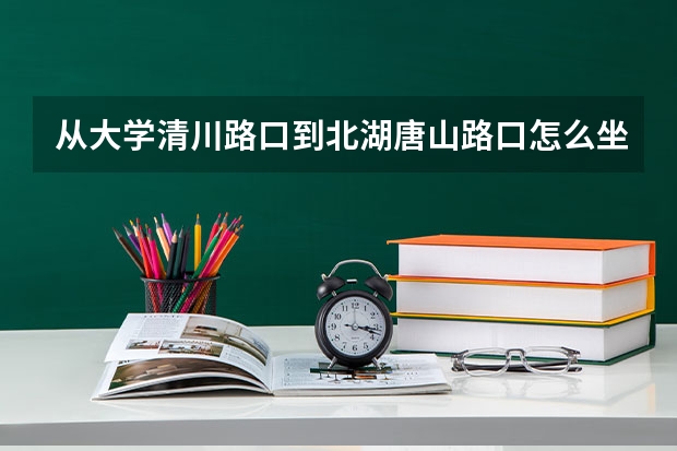 从大学清川路口到北湖唐山路口怎么坐公交车，最快需要