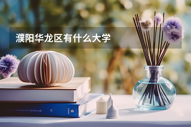 濮阳华龙区有什么大学