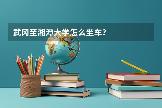 武冈至湘潭大学怎么坐车？