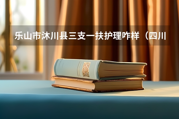 乐山市沐川县三支一扶护理咋样(四川三支一扶转编的城市)