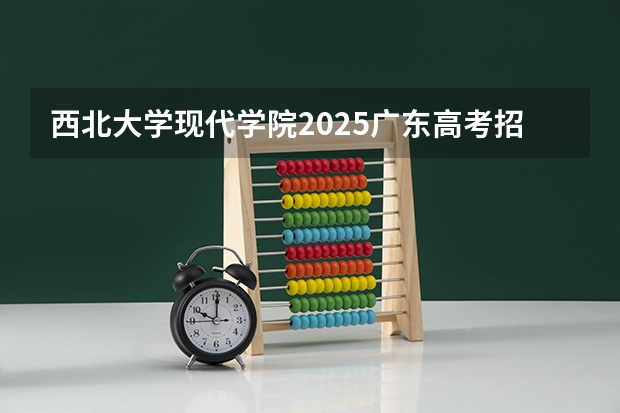 西北大学现代学院2025广东高考招生计划 招多少人