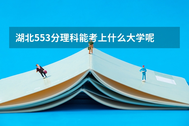湖北553分理科能考上什么大学呢