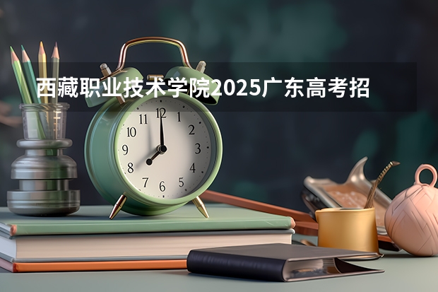 西藏职业技术学院2025广东高考招生计划 招多少人