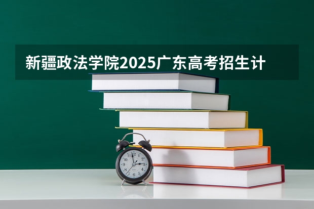 新疆政法学院2025广东高考招生计划 招多少人