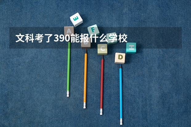 文科考了390能报什么学校