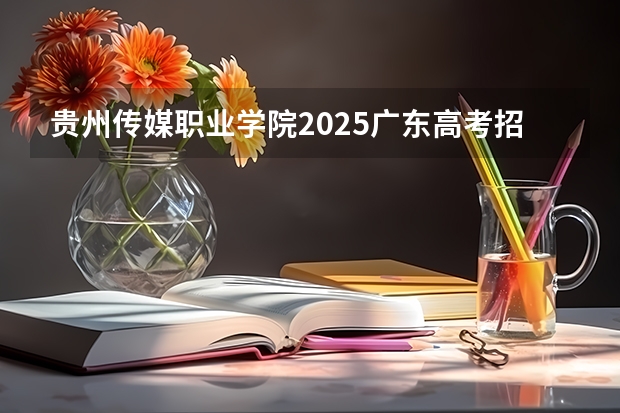 贵州传媒职业学院2025广东高考招生计划 招多少人