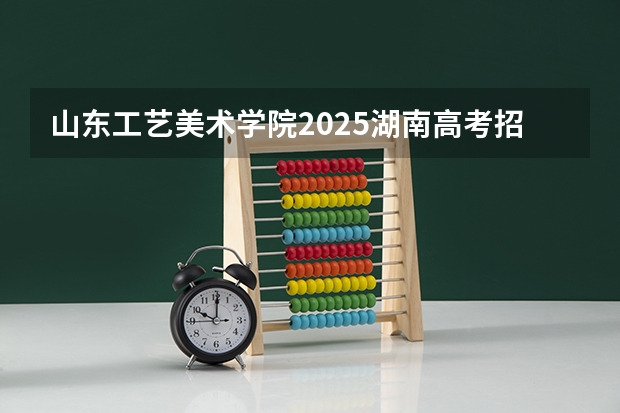 山东工艺美术学院2025湖南高考招生计划 招多少人