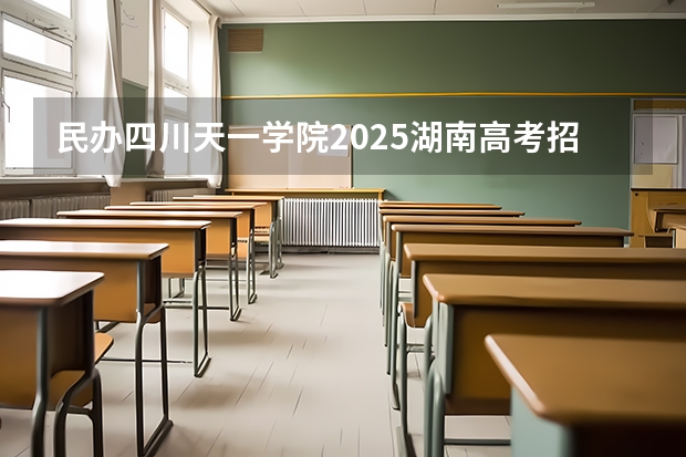 民办四川天一学院2025湖南高考招生计划 招多少人