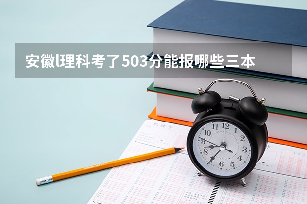 安徽l理科考了503分能报哪些三本院校