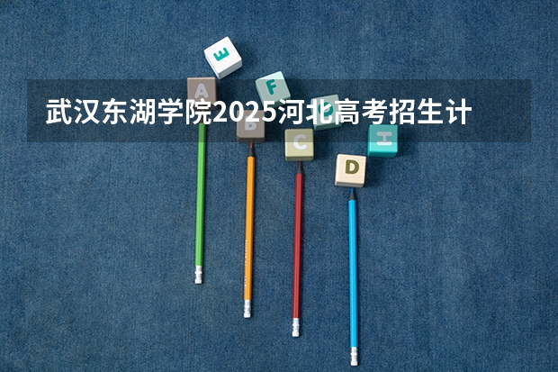 武汉东湖学院2025河北高考招生计划 招多少人