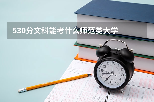 530分文科能考什么师范类大学