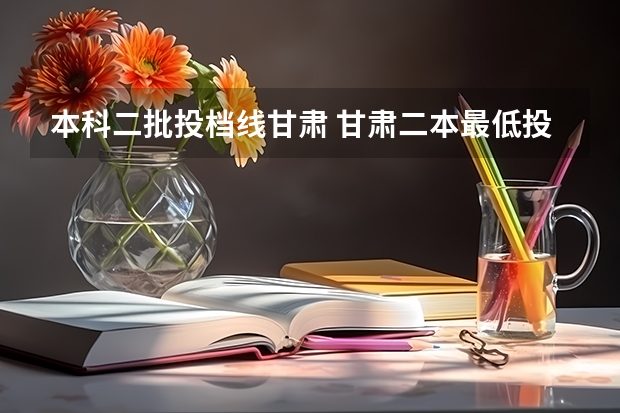 本科二批投档线甘肃 甘肃二本最低投档线