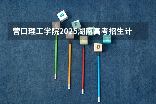 营口理工学院2025湖南高考招生计划 招多少人