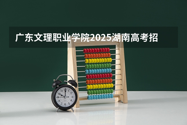 广东文理职业学院2025湖南高考招生计划 招多少人