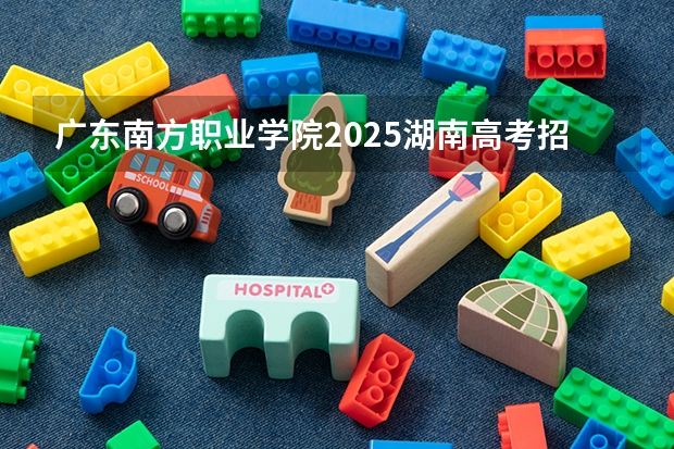 广东南方职业学院2025湖南高考招生计划 招多少人