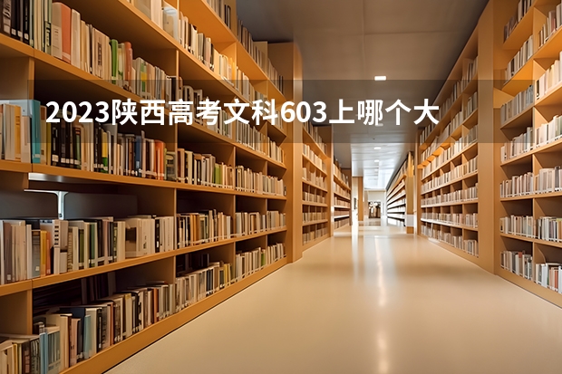 2023陕西高考文科603上哪个大学合适