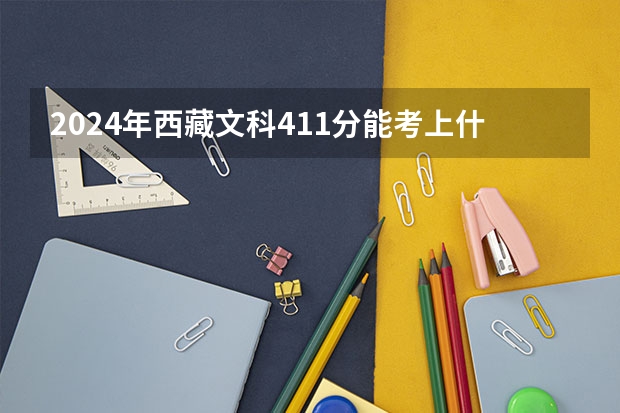 2024年西藏文科411分能考上什么大学？