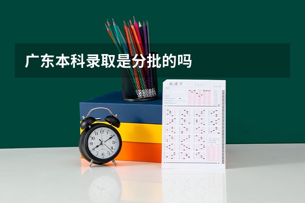 广东本科录取是分批的吗