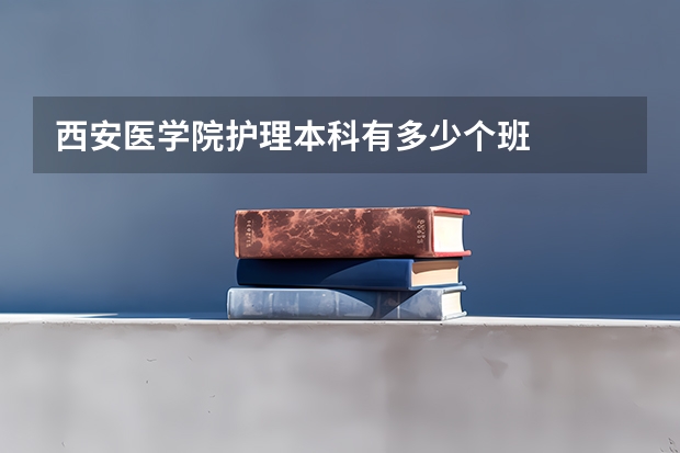 西安医学院护理本科有多少个班