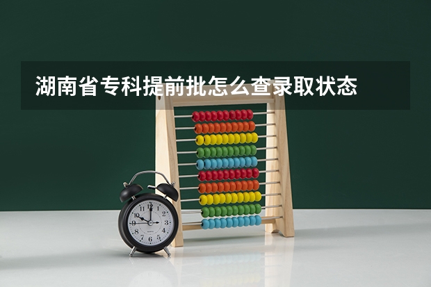 湖南省专科提前批怎么查录取状态