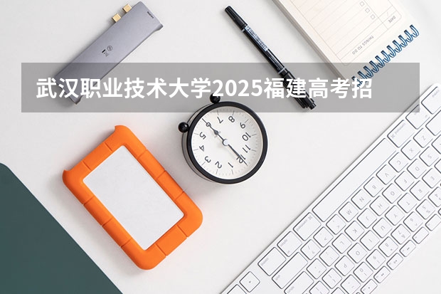 武汉职业技术大学2025福建高考招生计划 招多少人