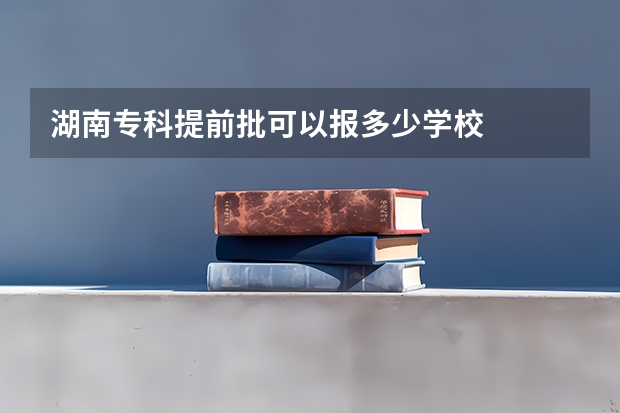 湖南专科提前批可以报多少学校