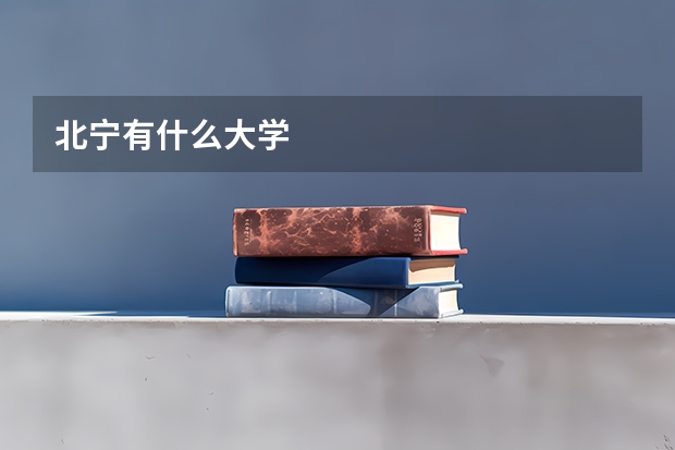 北宁有什么大学