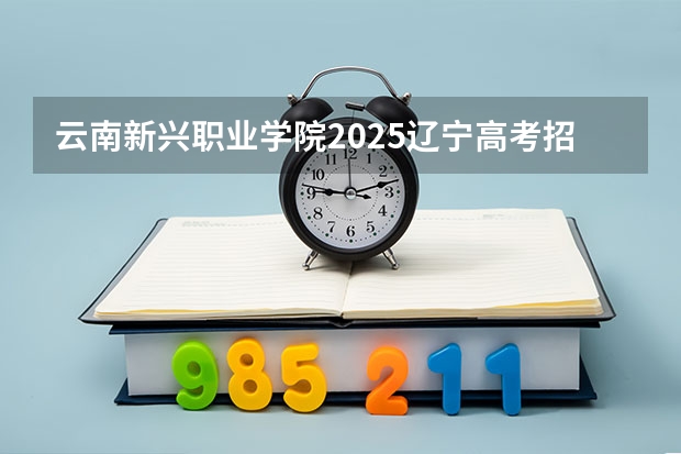 云南新兴职业学院2025辽宁高考招生计划 招多少人