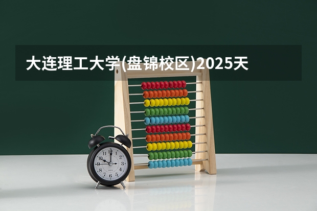 大连理工大学(盘锦校区)2025天津高考招生计划 招多少人