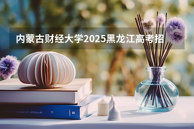 内蒙古财经大学2025黑龙江高考招生计划 招多少人