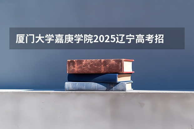 厦门大学嘉庚学院2025辽宁高考招生计划 招多少人