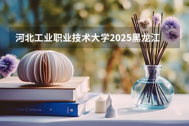 河北工业职业技术大学2025黑龙江高考招生计划 招多少人