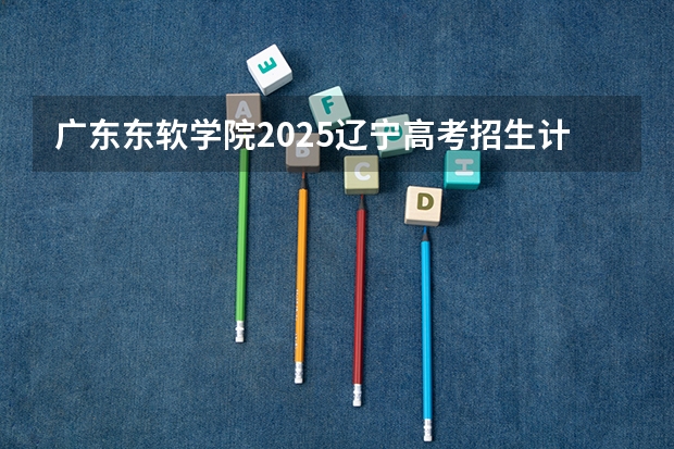 广东东软学院2025辽宁高考招生计划 招多少人
