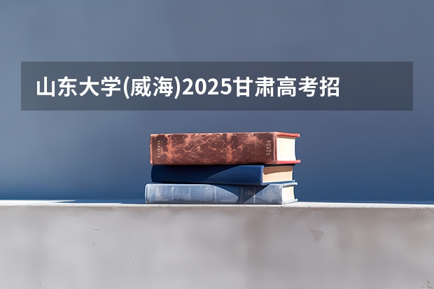 山东大学(威海)2025甘肃高考招生计划 招多少人（2026参考）