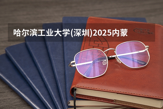 哈尔滨工业大学(深圳)2025内蒙古高考招生计划 招多少人