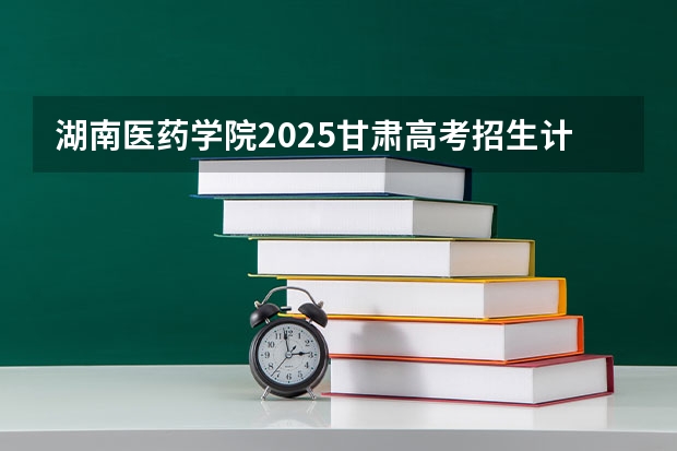 湖南医药学院2025甘肃高考招生计划 招多少人（2026参考）