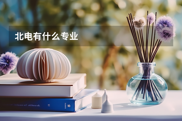 北电有什么专业