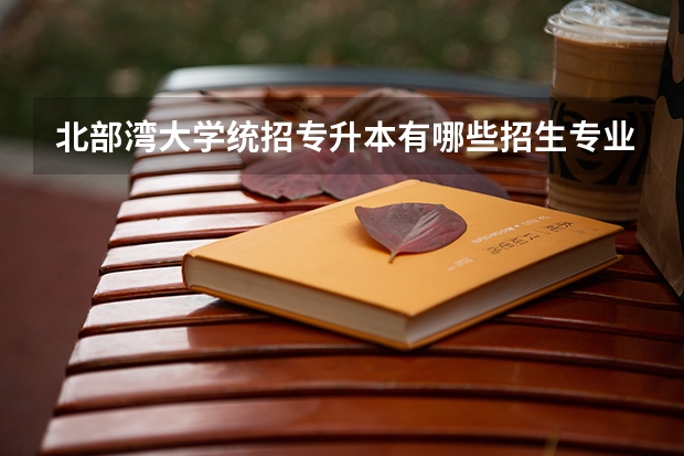 北部湾大学统招专升本有哪些招生专业可以报考？