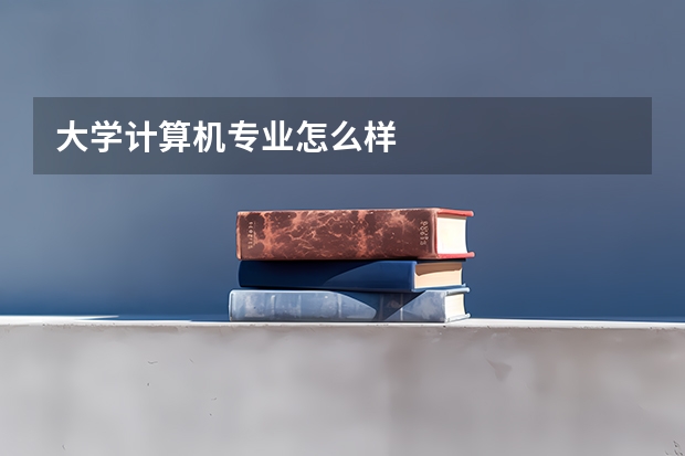 大学计算机专业怎么样