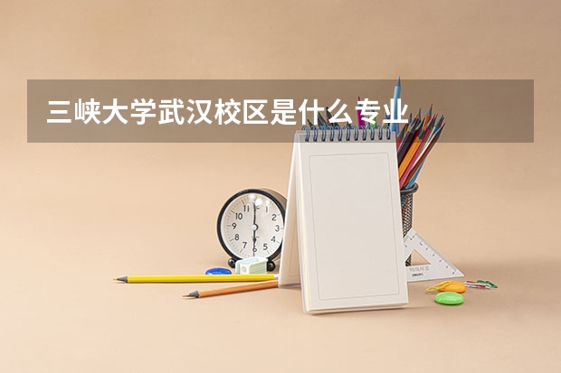 三峡大学武汉校区是什么专业