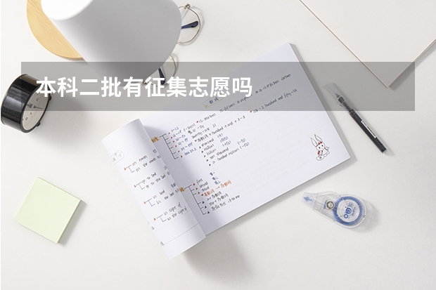 本科二批有征集志愿吗