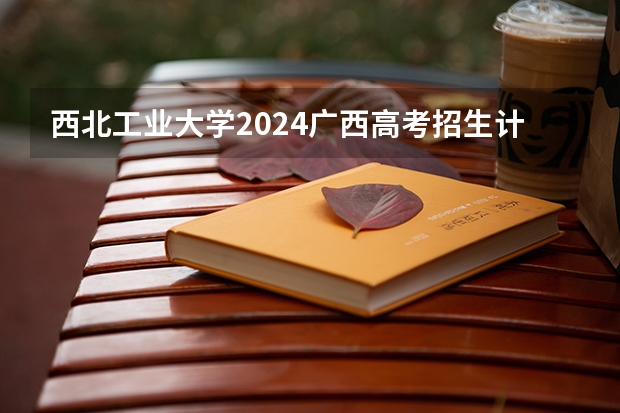 西北工业大学2024广西高考招生计划 招多少人