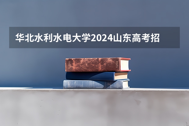 华北水利水电大学2024山东高考招生计划 招多少人