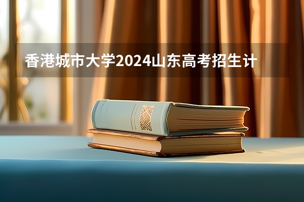 香港城市大学2024山东高考招生计划 招多少人
