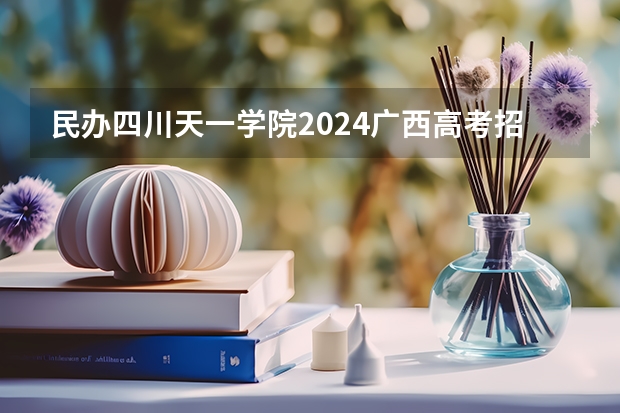 民办四川天一学院2024广西高考招生计划 招多少人